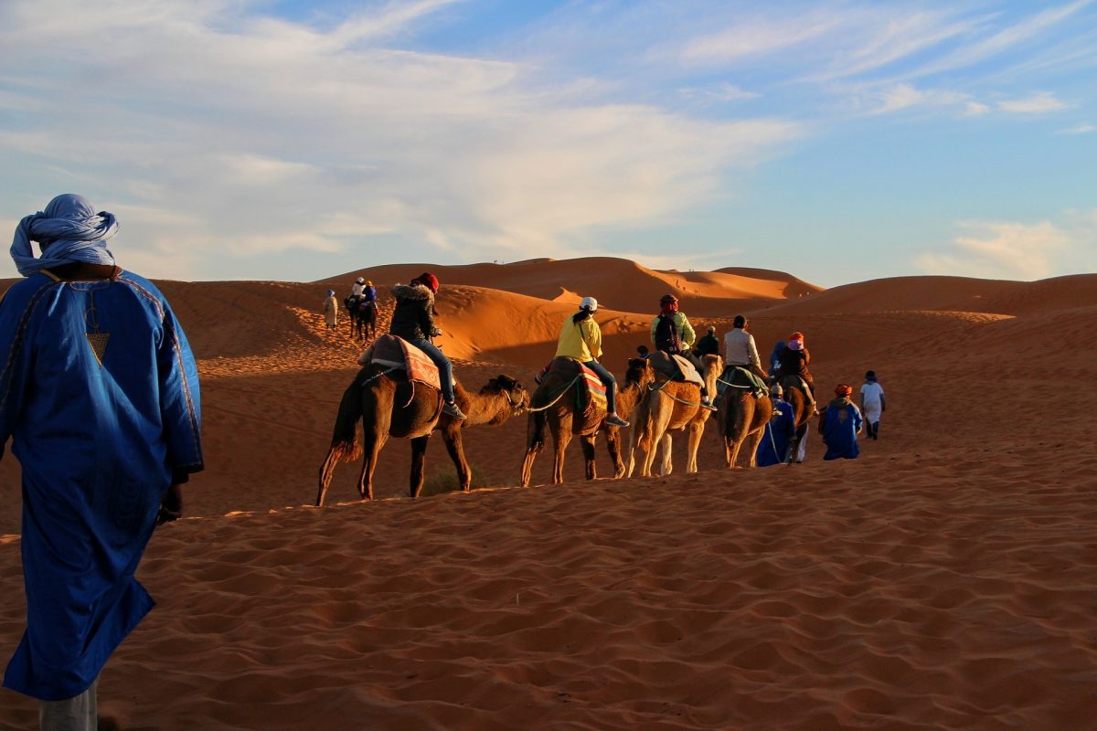 camelos no deserto de Marrocos