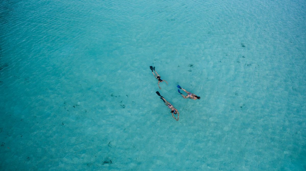 Seychelles mergulho