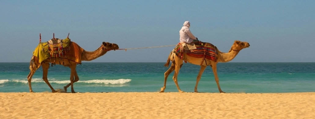 camelos, Saidia