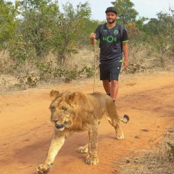 Volta ao Mundo por Pedro Guerra – Dias 28 a 31 – Zimbabwe 🇿🇼 Zambia 🇿🇲 Parte III