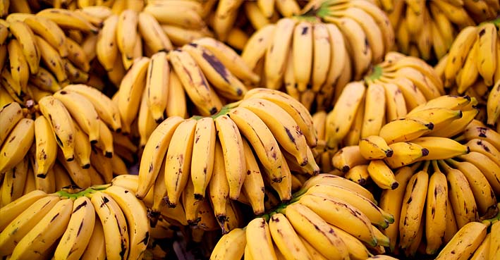 bananas da Madeira