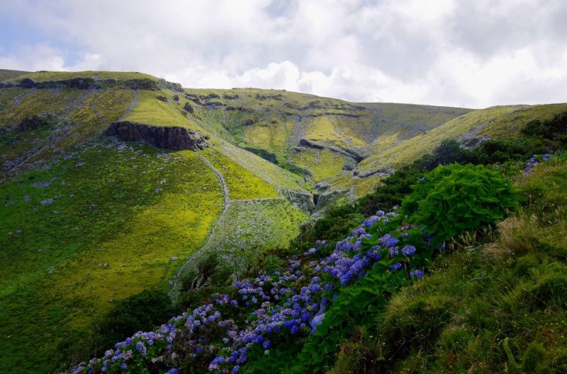 Descobrir as ilhas portuguesas: Madeira ou Açores?