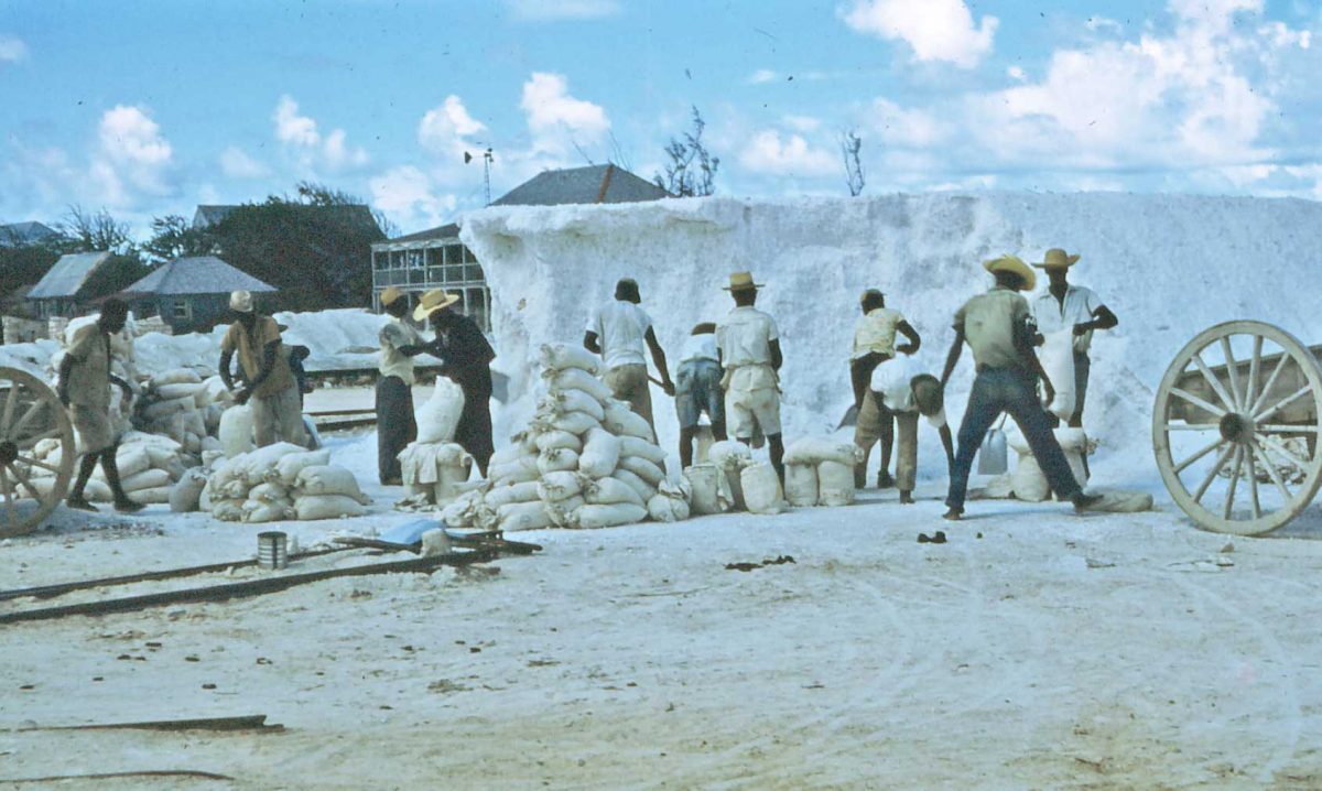 Coletores de sal no trabalho em Grand Turk