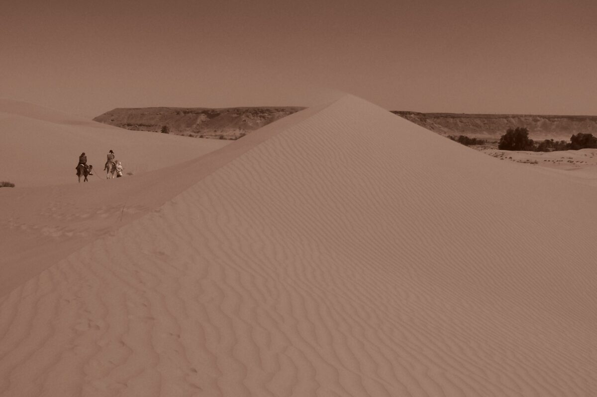 Sahara por Ricardo Gomes