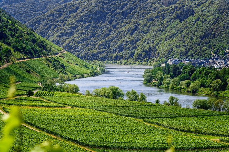 Vale do Mosel