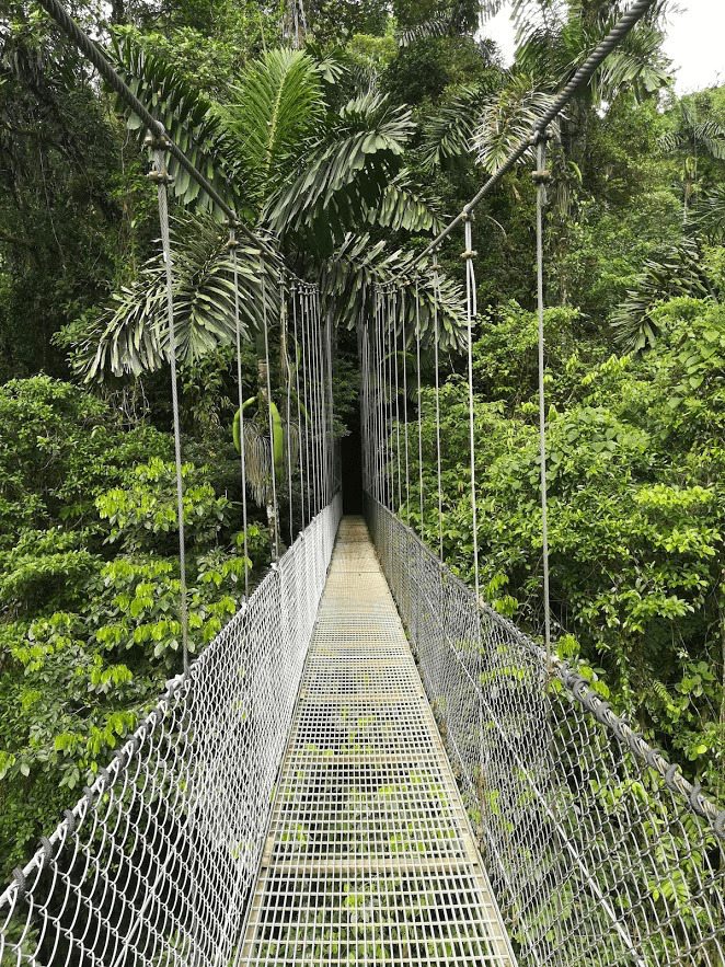 Arenal Hanging Bridges