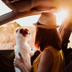 3 sugestões de sonho para umas férias com animais
