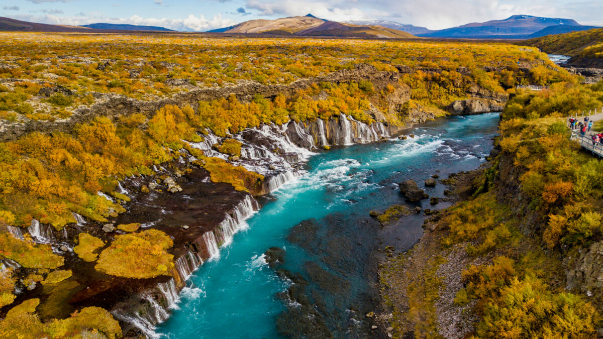 Aerial,View,Of,Autumn,Foliage,At,Hraunfossar,Waterfalls,In,Husafell,