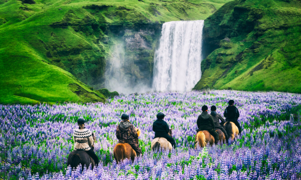 Tourists,Ride,Horses,At,The,Majestic,Skogafoss,Waterfall,In,Countryside