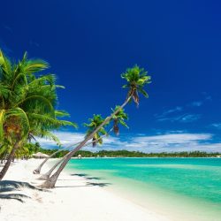 ilhas fiji: 6 dicas secretas que nunca lhe contaram