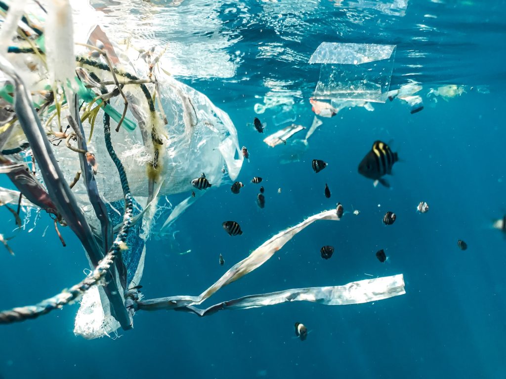 reduzir os plásticos, dicas para preservar os oceanos 