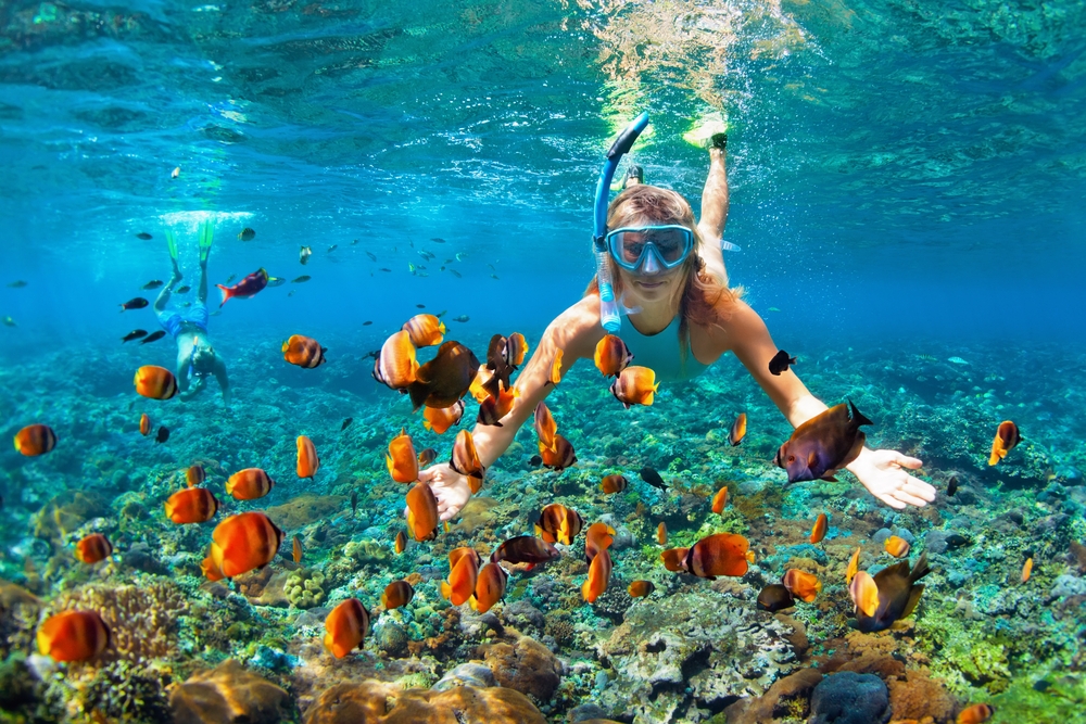 melhores destinos do mundo para snorkelling,