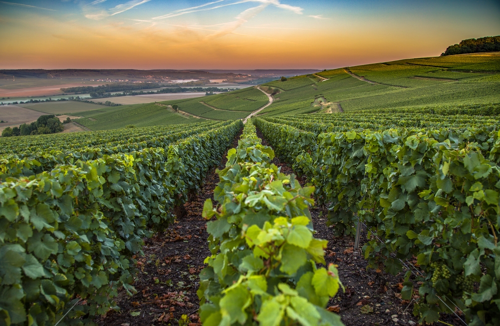 Champanhe, França, Os melhores destinos vinícola da Europa