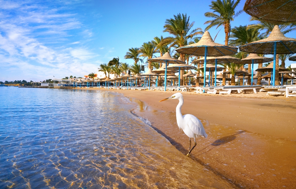 Hurghada, Egipto, Destinos de sol para viajar em setembro
