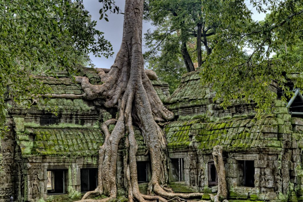 Templo Ta Prohm, Camboja, Locais que parecem saídos de um livro