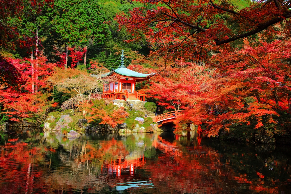 Os sítios mais bonitos para viver as cores do outono, Kyoto, Japão