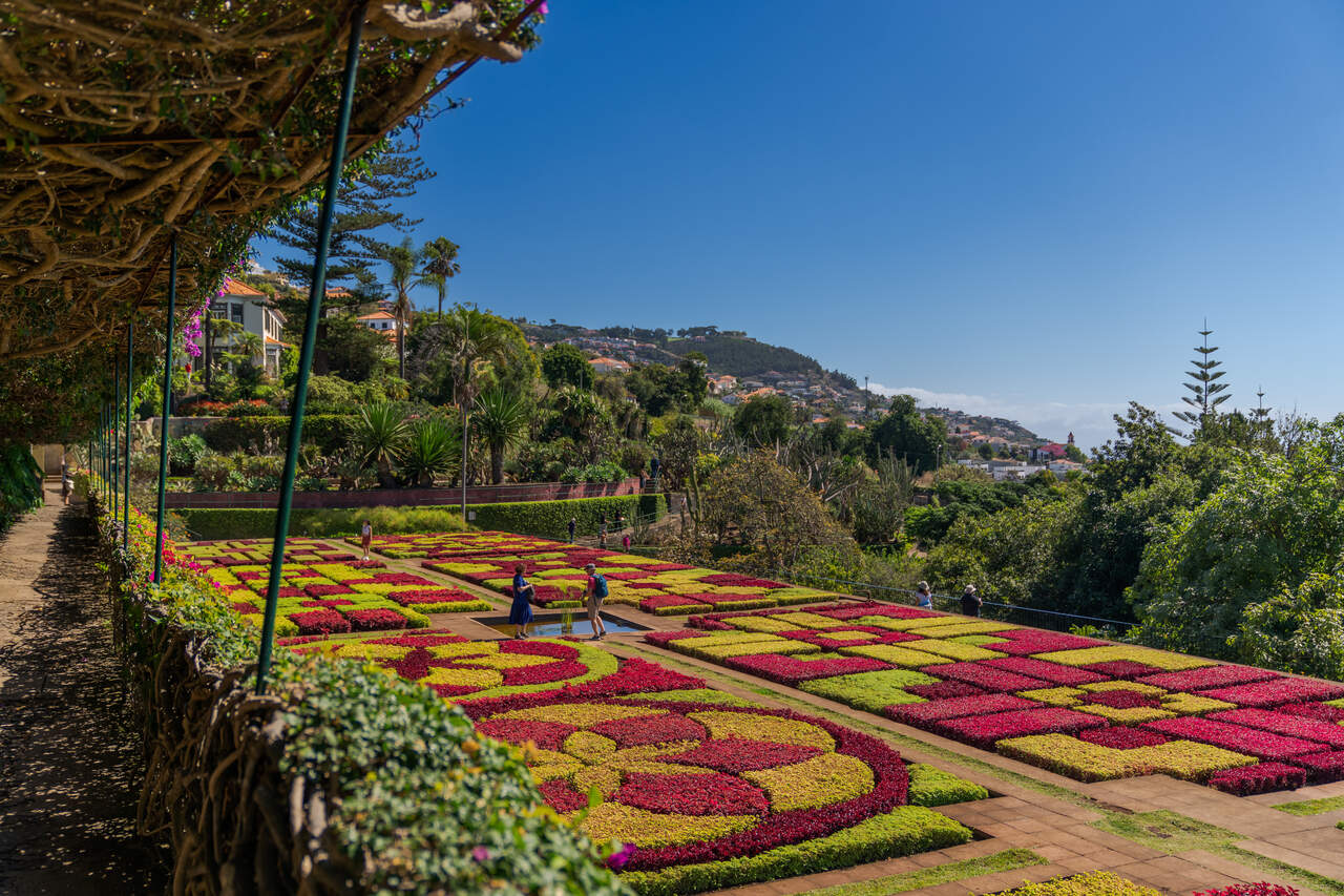 Jardim Botânico da Madeira, Dicas de como viver ao máximo o Faial