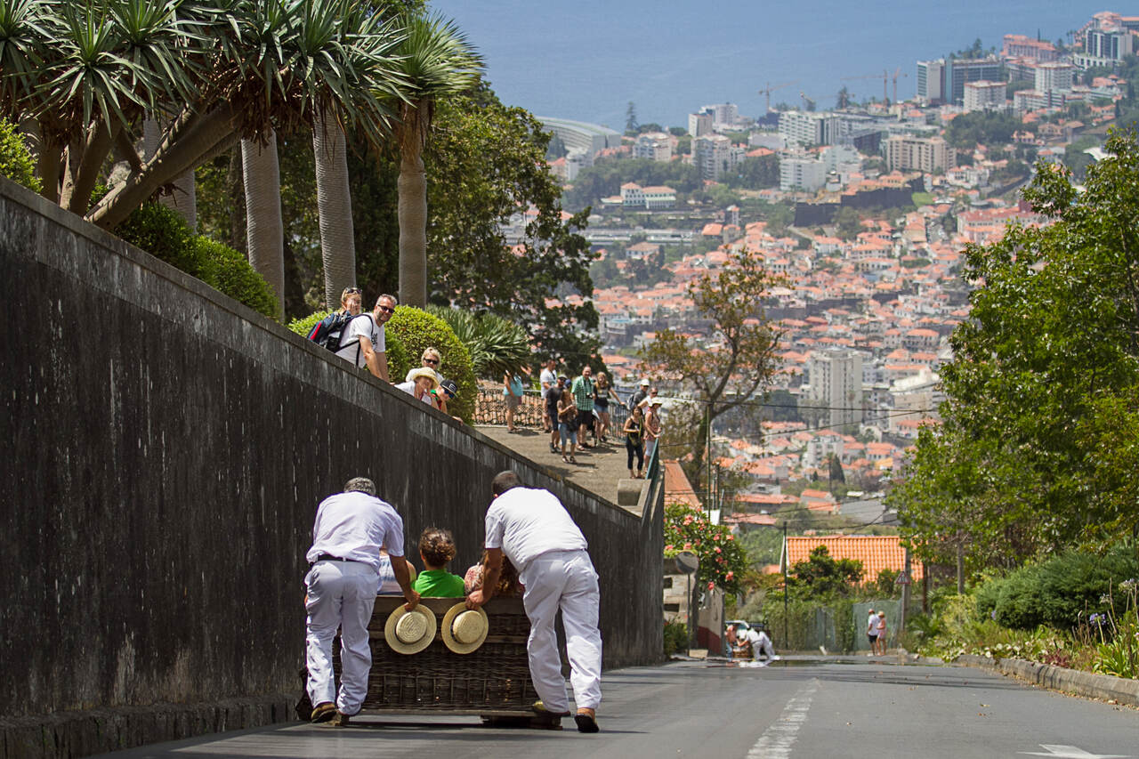 Passeio de carrinhos de cesto, Funchal