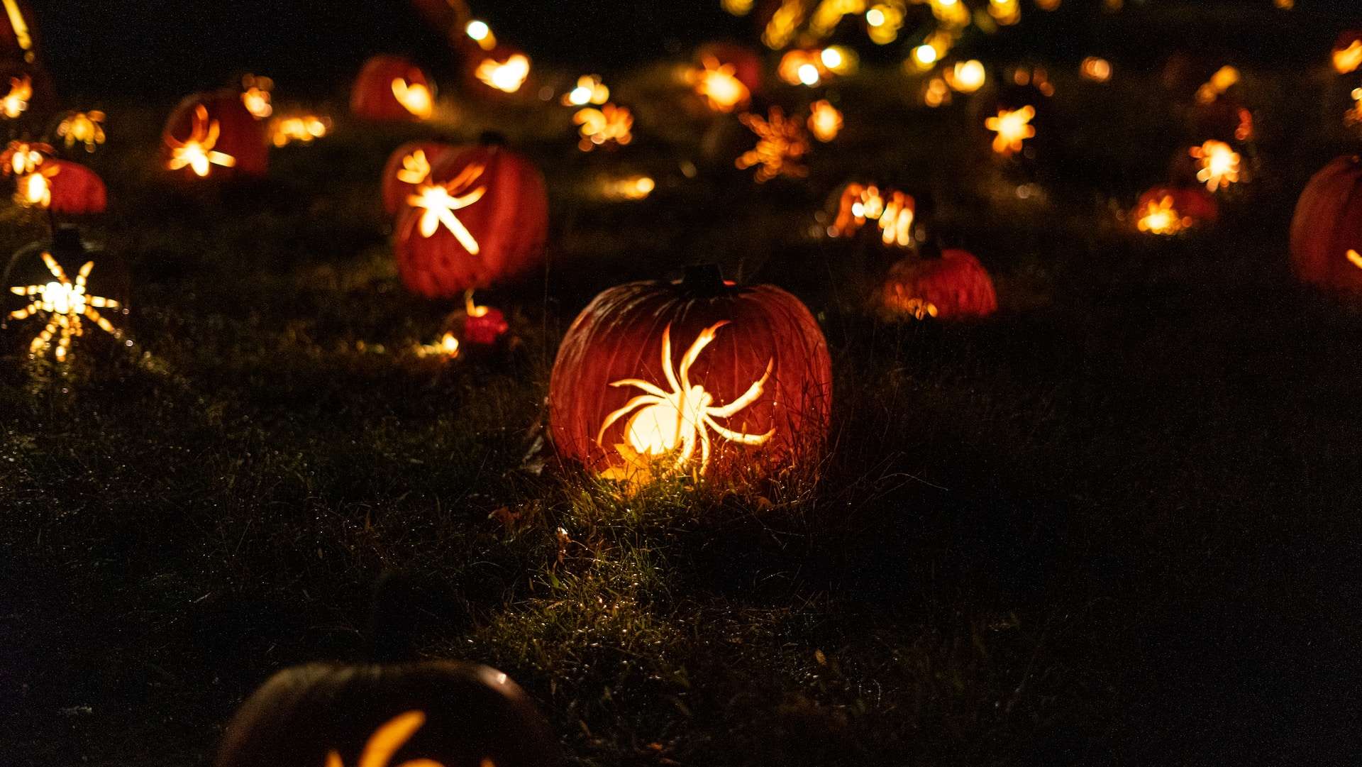 Os melhores locais no mundo para viver o Halloween