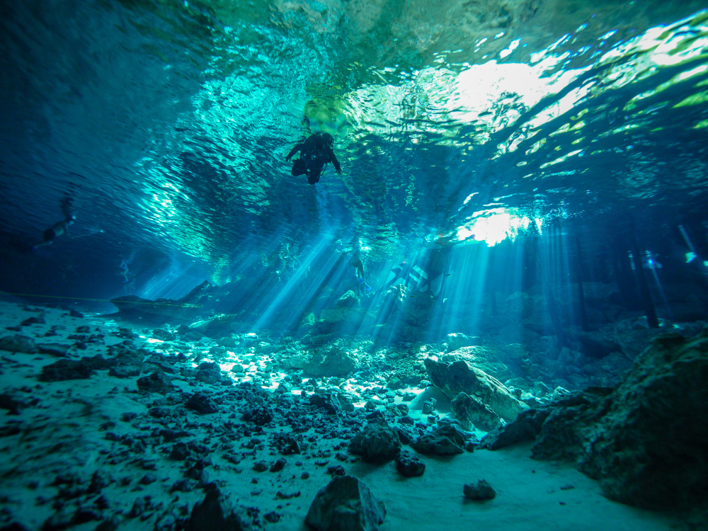 Mundo subaquático de Cancun, México