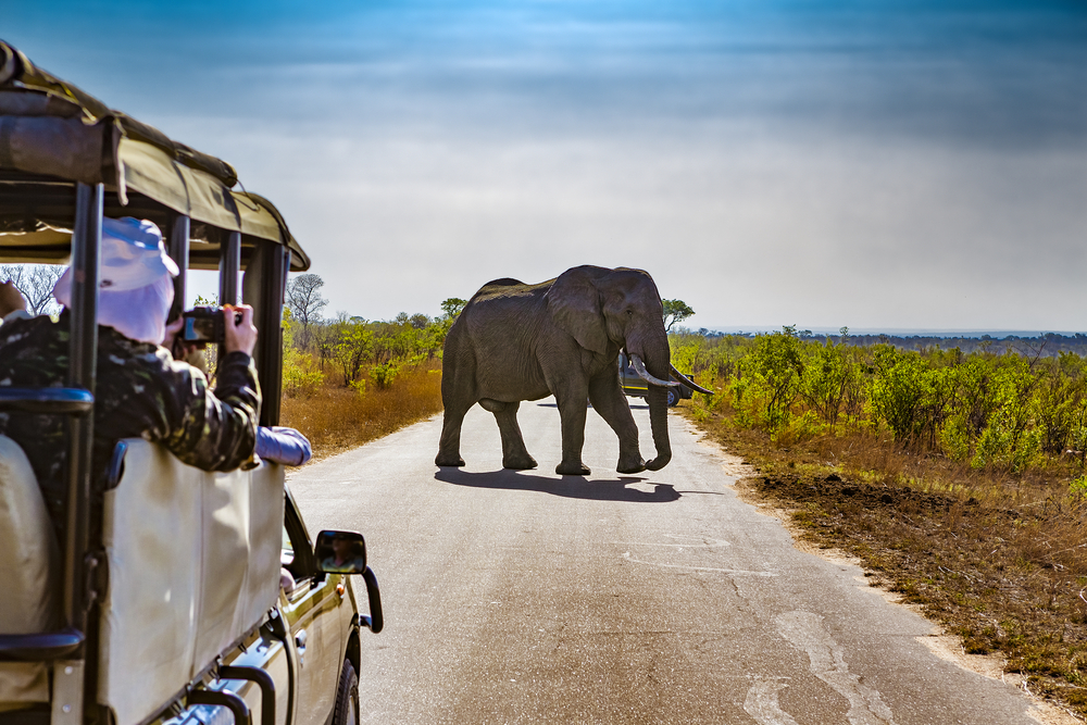 Parque Nacional Kruger, África do Sul,  Os melhores destinos de safari para ver os BIG 5