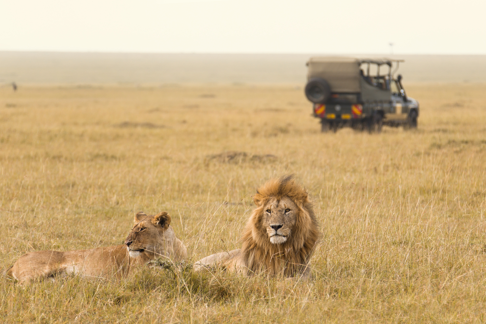 Reserva Nacional de Masai Mara, Quénia