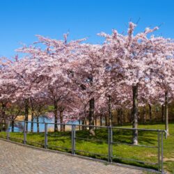 6 cidades a não perder na Primavera