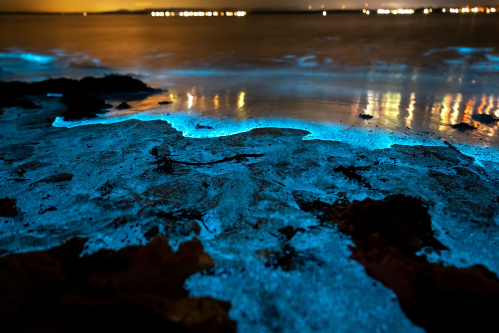 bioluminescent beach, maldivas, 12 lugares no mundo tão incríveis que parecem mentira