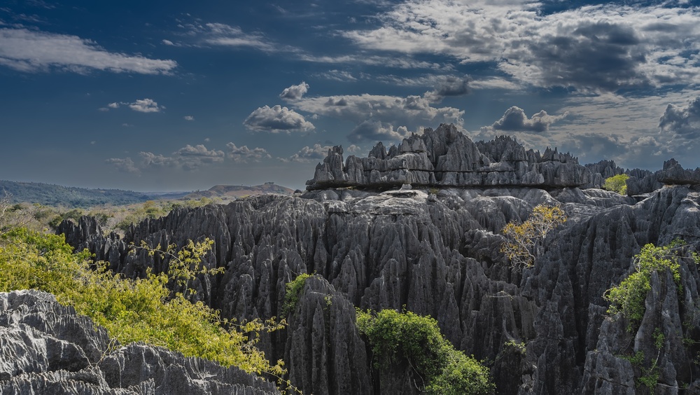 Madagascar: Nosy Be, as Baobás e Tudo o que Precisa de Saber antes de Ir