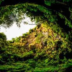 Os 14 melhores locais para visitar na Ilha Terceira no inverno
