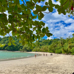 Costa Rica em 10 dias: roteiro de Pura Vida entre selva e praia